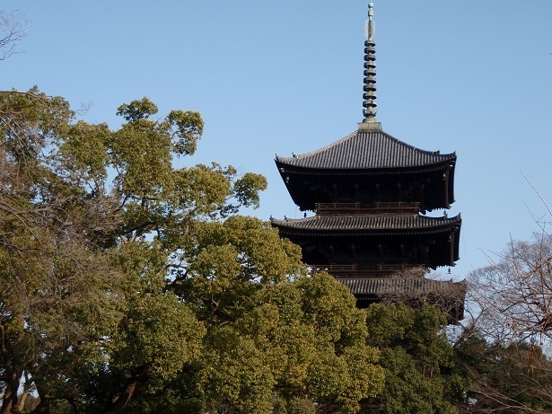 P1090207xs.jpg