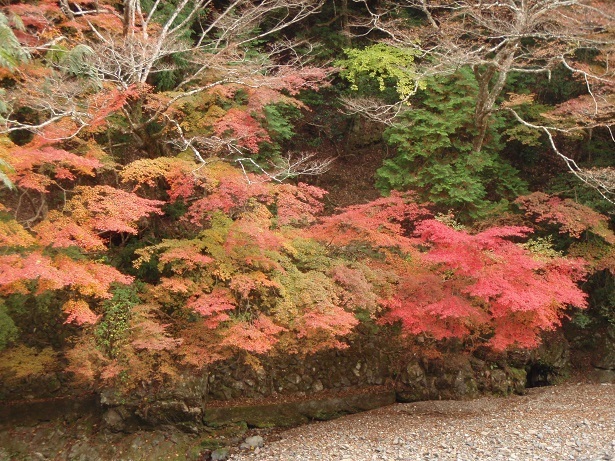 PB081352xs.jpg